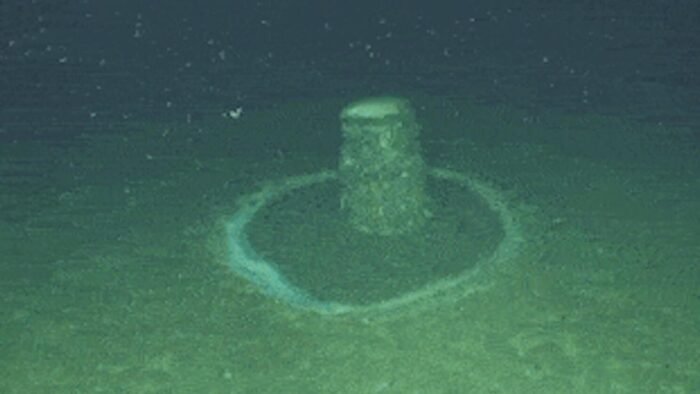 DDT pollutants been discovered in deep sea fish caught off the coast of Los Angeles