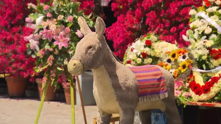 Los Angeles Olvera Street Beloved Burro Photo Stand Faces Eviction After 57 Years- Find out details here