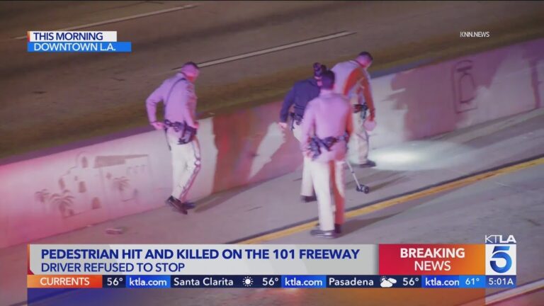 Pedestrian Killed on 101 Freeway Near Downtown LA